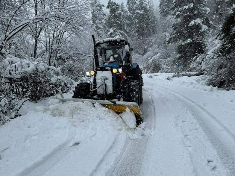 ცაგერის მუნიციპალიტეტში ინტენსიური თოვისა და რთული მეტეოროლოგიური პირობების გამო...